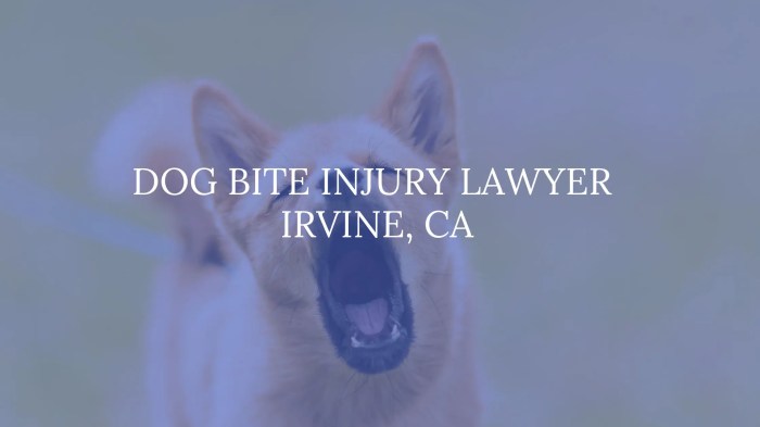 Dog bite attorneys irvine