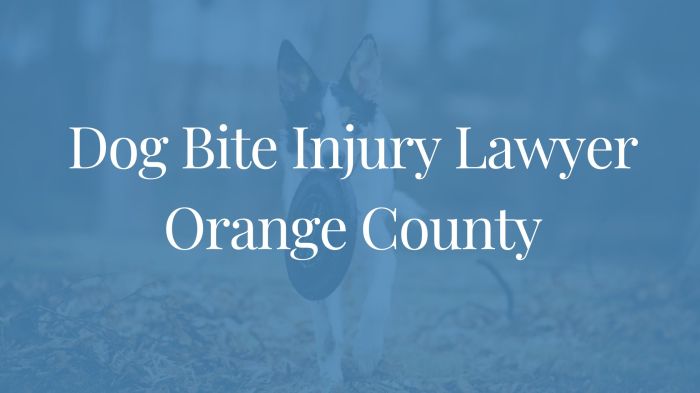 Dog bite attorneys bakersfield