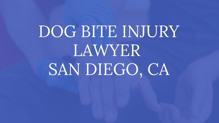 San bernardino dog bite attorneys