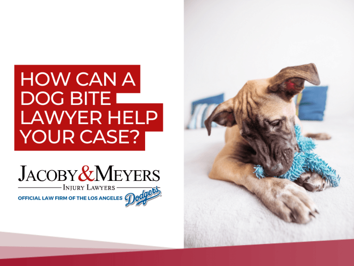 Dog bite attorney san bernardino