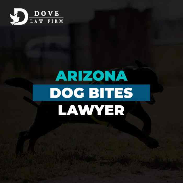 Oxnard dog bite attorney