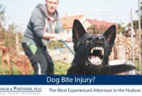 San bernardino dog bite attorneys