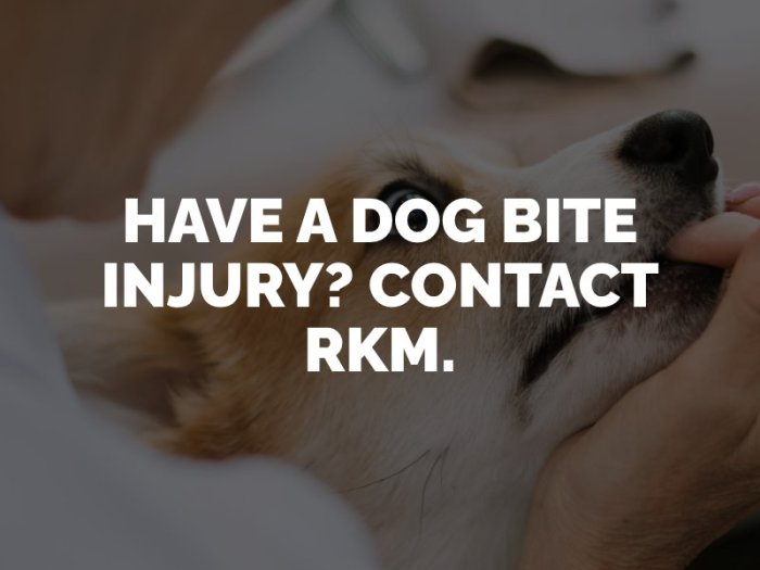 Bakersfield dog bite attorneys