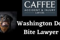 Dog bite attorney bakersfield