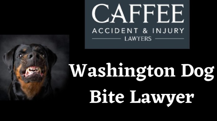 Dog bite attorney bakersfield